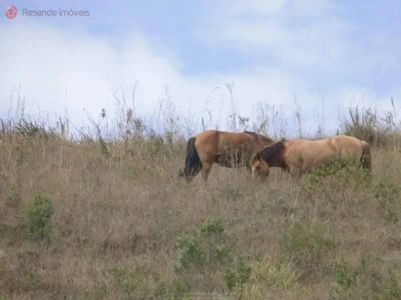 Foto 25 de 35 - Chácara para venda em Alambari